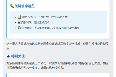 九紫新能融资550万美元，70%投向加密货币