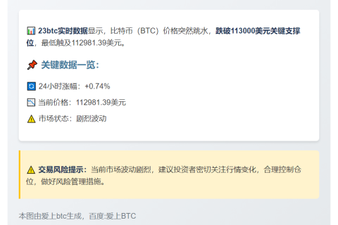 BTC跌破11.3万美元