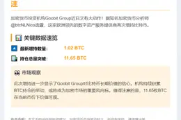 Goobit Group增持比特币至11.65枚