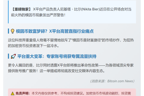 X负责人否认模因币致富论