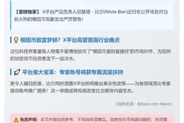 X负责人否认模因币致富论