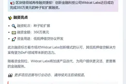 Wildcat Labs在种子轮扩展融资中筹集350万美元