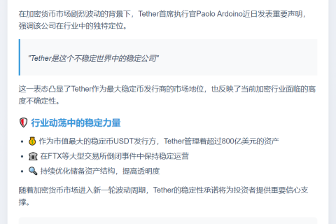 Tether CEO：动荡中的稳定力量