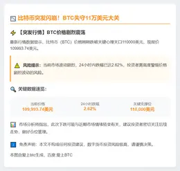 比特币跌破11万美元