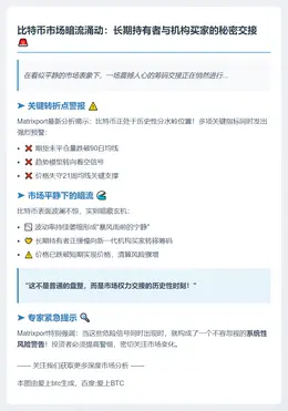 比特币处关键点，长期持有者转给新买家