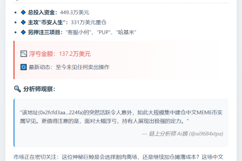 重仓BSC链Meme币24小时亏137万美元