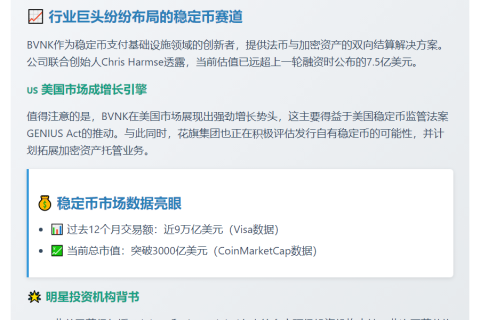 BVNK获花旗风投注资