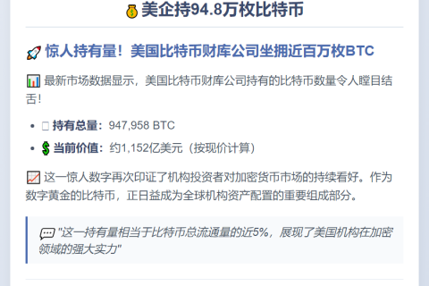 美企持94.8万枚比特币