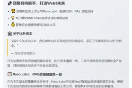 比升资本设1亿美元BNB基金