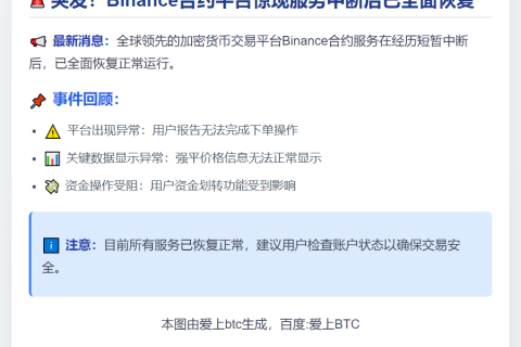 Binance合约恢复运营