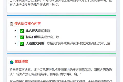 哈马斯宣布永久停火