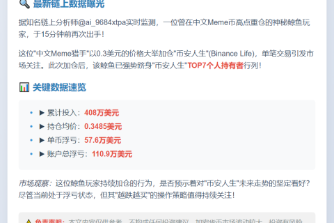 鲸鱼重仓中文Meme币，跻身TOP7持有者