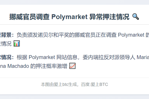 挪威官员调查 Polymarket 异常押注情况