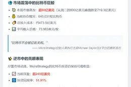 Saylor：BTC持仓蒸发80亿，但无关税风险