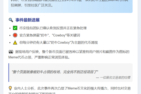 币安钱包处理Meme币刷屏问题