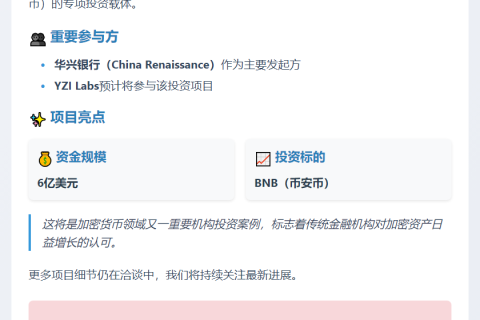 华兴银行拟设6亿美元基金投资BNB