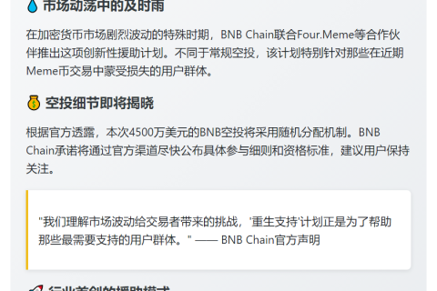 BNB Chain空投助力Meme币亏损用户