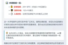 巨鲸存入1200万USDC做空比特币