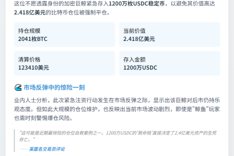 鲸鱼存入1200万USDC防清算