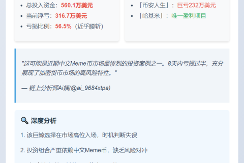 鲸鱼重仓中文Meme浮亏317万美元