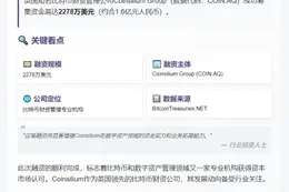 Coinsilium完成2278万美元融资