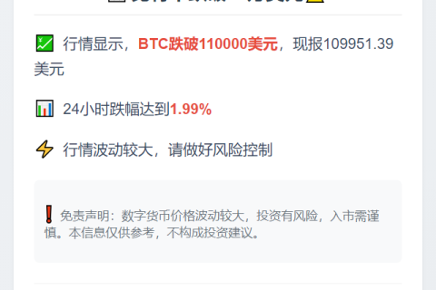 比特币跌破11万美元