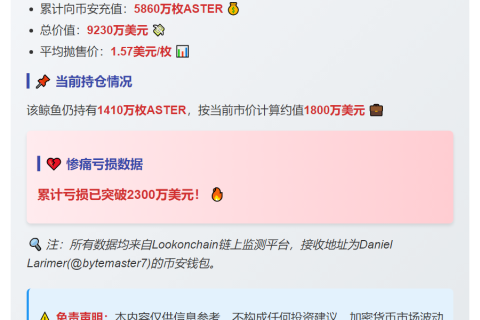 鲸鱼巨亏2300万美金充币安