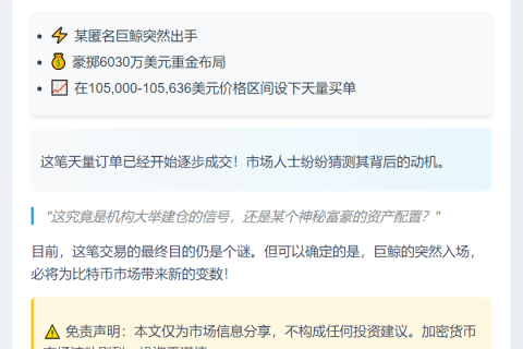 神秘巨鲸豪掷6030万美元买入BTC