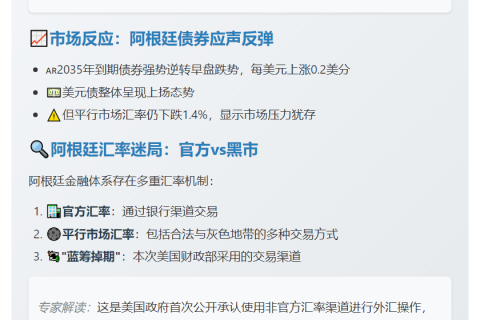 美财政部以非官方汇率购阿根廷比索