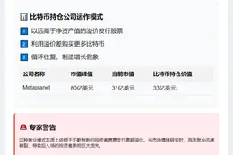 比特币公司股价暴跌致散户损失170亿