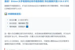 Bitdeer增持BTC看跌期权至2126.8枚
