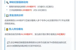 比特币巨鲸转出3000枚，仍持2.43万枚