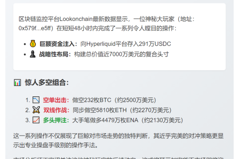 巨鲸存入Hyperliquid 291万USDC