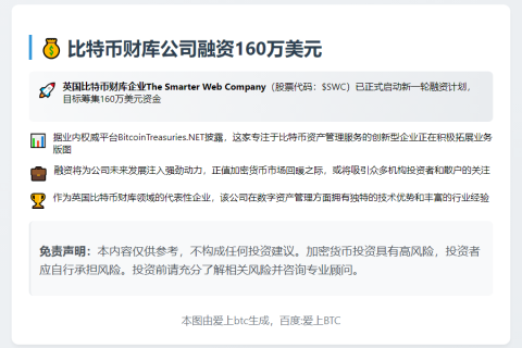 比特币财库公司融资160万美元