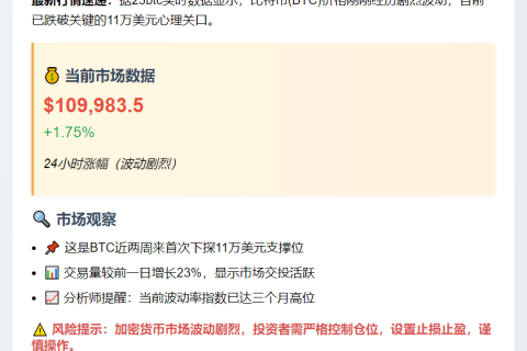 比特币跌破11万美元