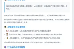 加永久禁新加密货币挖矿