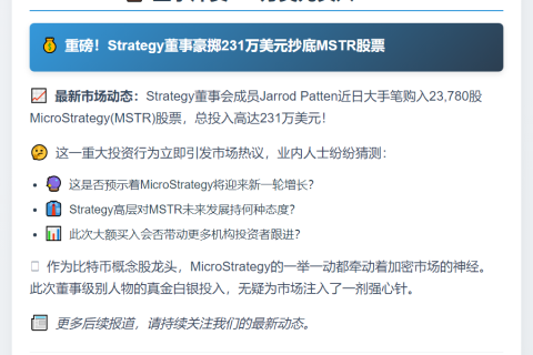 董事斥资231万美元买入MSTR