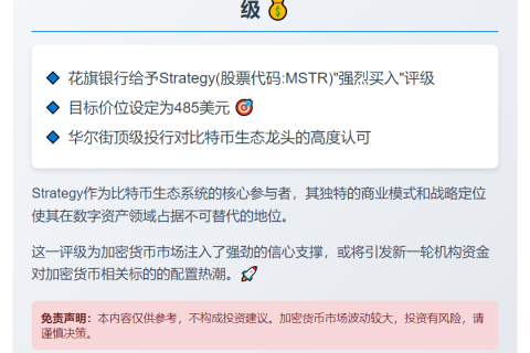 花旗：买入Strategy，目标价485美元