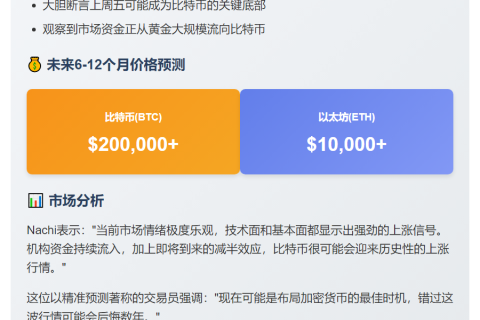 交易员Nachi：比特币6-12个月内或破20万