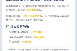 BNB链日赚200万美元
