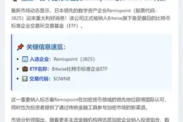 日本Remixpoint入选Bitwise比特币ETF