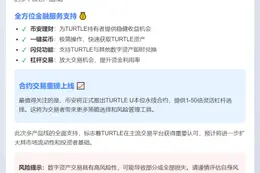币安上线TURTLE支持理财杠杆合约
