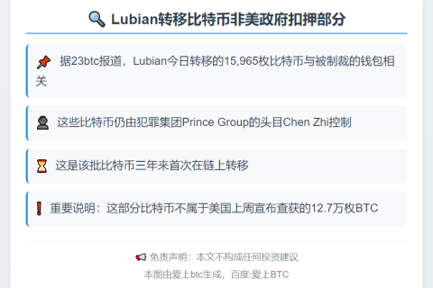 Lubian转移比特币非美政府扣押部分