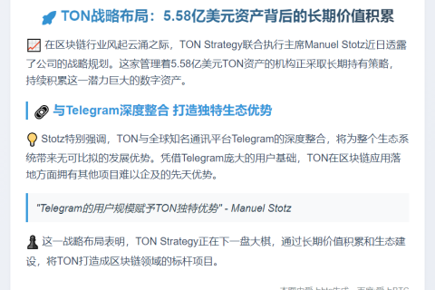 TON高管：长期积累战略
