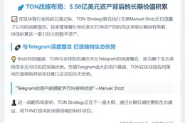 TON高管：长期积累战略