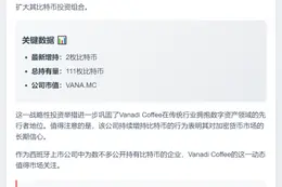 Vanadi Coffee增持比特币至111枚
