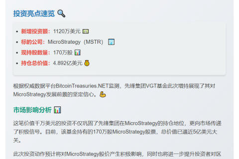 先锋集团增持1120万美元MSTR股票