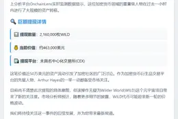 Arthur Hayes提取216万WILD，价值46.3万美元