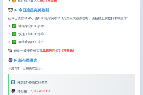 巨鲸12次连赚1263万美元
