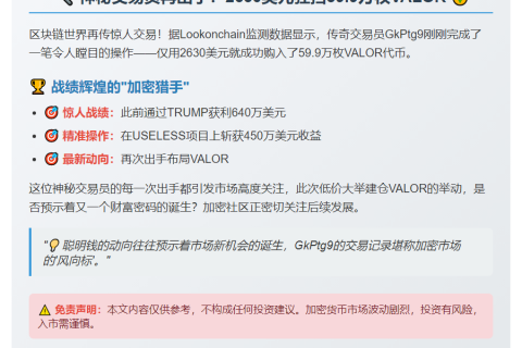聪明交易员2630美元购59.9万VALOR